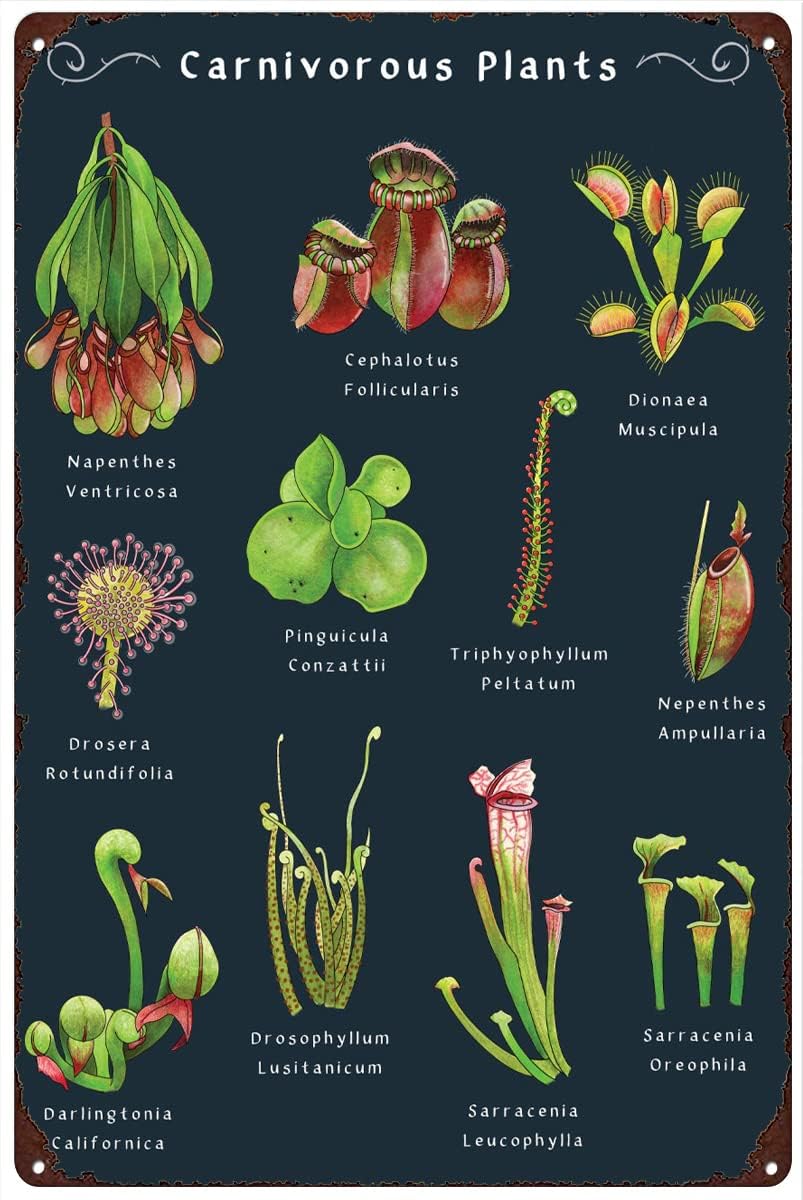 Retro Gaming Pictures - Retro Metal Tin Signes Carnivorous Plants
