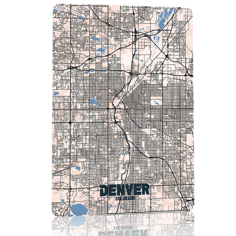 Denver City Map Tinplate Poste – Retro Gaming Denver Bewertung und Preis